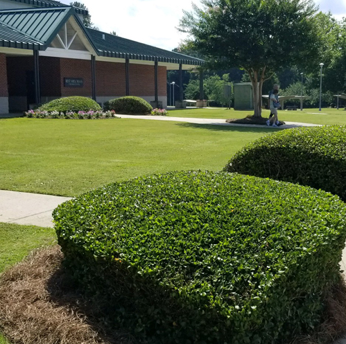 Pro Cutters Aerial View