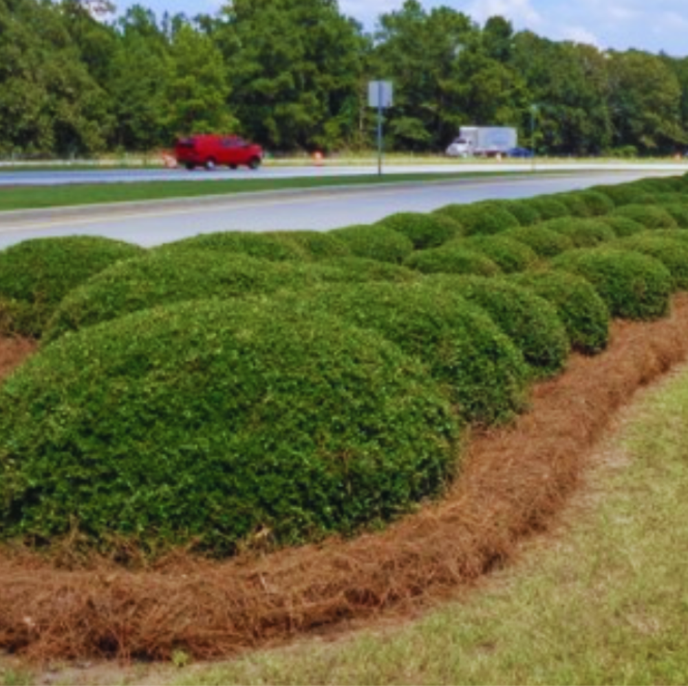 Right-of-Way Corridors