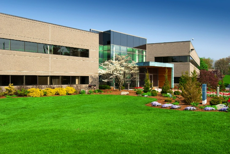 Commercial Landscape Project 2