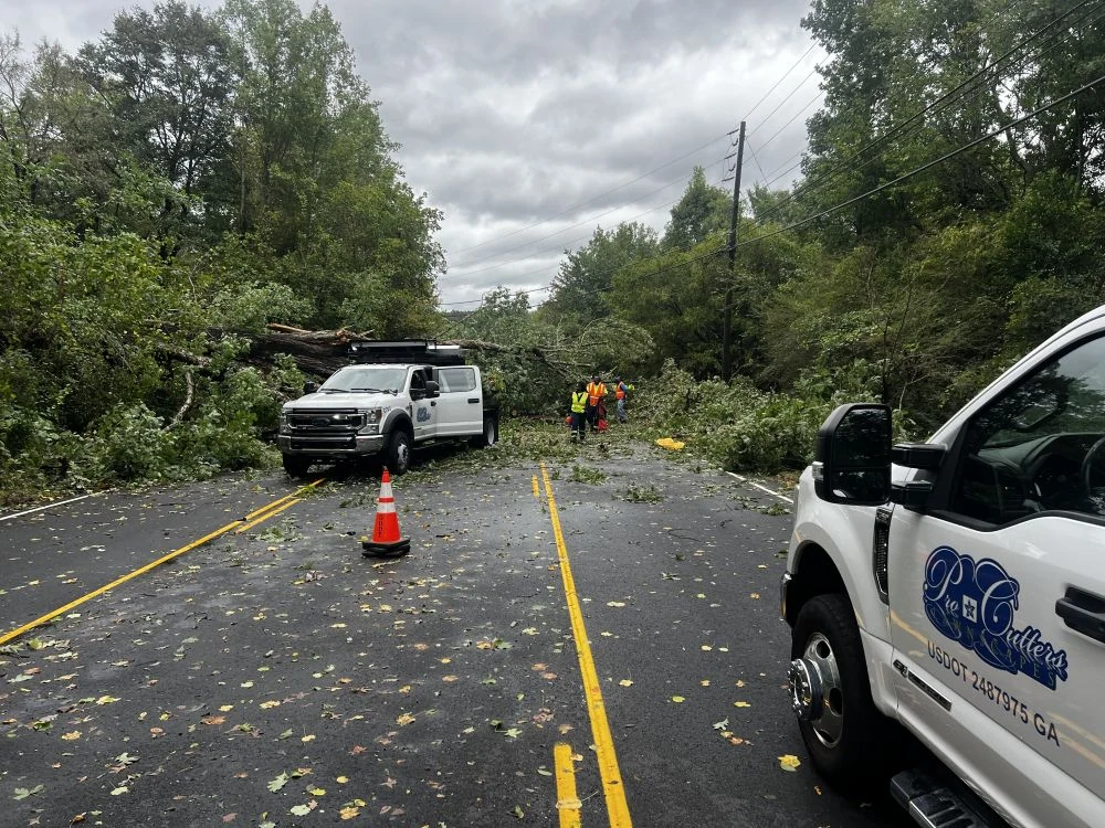 Comprehensive Land Clearing