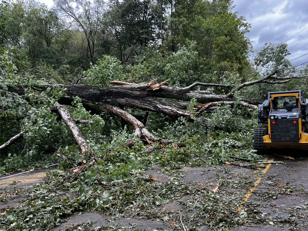 Mechanical Brush Clearing